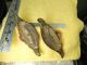 2 - Antique? Unmarked Steel & Plastic/bakelite?clam Pull Knobs & Handles - Pulls Door Knobs & Handles photo 3