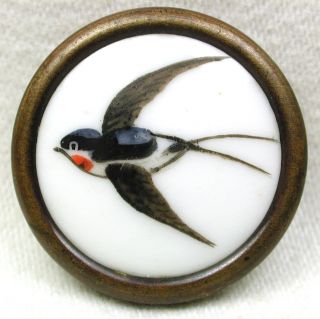 Antique Hand Paint Enamel Button Bird In Flight 1&1/8 Brass Rim photo