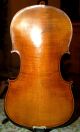Antique Handmade 4/4 Master Violin From Hermann Dolling Jr.  1900/1920 String photo 1