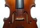 Antique Handmade 4/4 Master Violin From Hermann Dolling Jr.  1900/1920 String photo 2