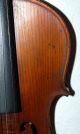 Antique Handmade 4/4 Master Violin From Hermann Dolling Jr.  1900/1920 String photo 3