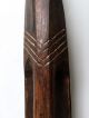 Old Aboriginal Parrying Shield - South - East Australia Pacific Islands & Oceania photo 9