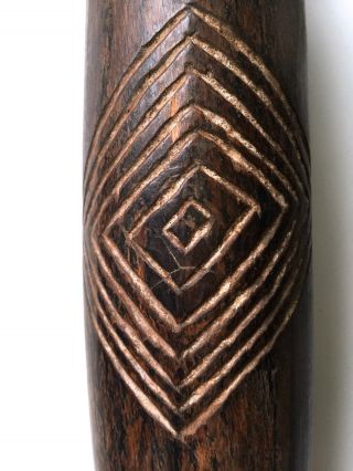 Old Aboriginal Parrying Shield - South - East Australia photo