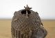 Antique Authentic African Art Tribal Benin Bronze Oba King Head Bust Nigeria Sculptures & Statues photo 3