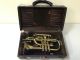 Dupont For Sears Superieur Cornet C.  1908 Beautifully Restored Brass photo 2