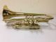 Dupont For Sears Superieur Cornet C.  1908 Beautifully Restored Brass photo 3