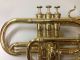 Dupont For Sears Superieur Cornet C.  1908 Beautifully Restored Brass photo 8