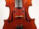 German Violin By W.  Ed.  Voigt Jr.  Markneukirchen 1938 String photo 1