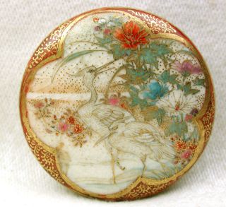 Lg Sz Antique Meiji Satsuma Button Egret Birds & Flowers W/ Fancy Border & Bk Mk photo
