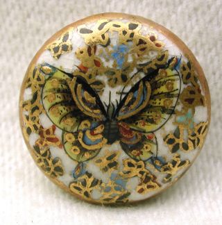 Antique Meiji Satsuma Buttons Pretty Butterfly W/ Gold Accents - 5/8 Inch photo
