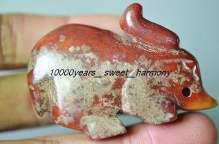 Exquisite Old Red Jade Hand Carved Lifelike Rabbit Statue Pn7 photo