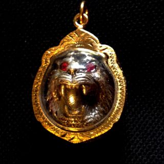 Thai Amulet The Red Eyes Tiger Pendant Magic Charm Protect Power Lucky Rich D06 photo