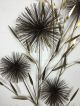 Mid Century Large Signed C.  Jere Pom / Urchin And Bamboo Wall Art Sculpture 1979 Metalware photo 4