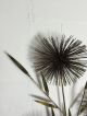 Mid Century Large Signed C.  Jere Pom / Urchin And Bamboo Wall Art Sculpture 1979 Metalware photo 7