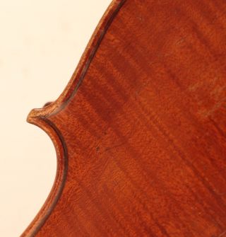 Rare And Fine Old Italian Violin Gigli 1771 Geige Violon Violine Violino Viola photo