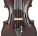 Antique Gebruder Placht 4/4 Labeled Old Master Violin String photo 1