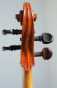 Vintage,  Antique German Cello,  Violoncello Around 1900 - Markneukirchen String photo 7