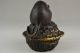 China Collectible Handwork Old Copper Carve Lifelike Mice Guard Nut Cut Statue Other Chinese Antiques photo 2