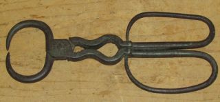 Very Early 18th C American Wrought Iron Sugar Nippers Great Early Construction photo