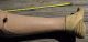 Antique Juvenile/ Youth/ Ladies? Leather & Wood Prosthetic Leg Other Medical Antiques photo 3