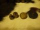 Antique Brass Weights In Grams In Wooden Box For Mercantile & Trade Use Scales photo 6