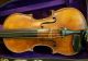 Old Antique Violin Labeled Giuseppe Fiorini 1897 String photo 3