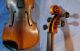 Antique Gaspard Duiffopruggar Violin C1840 Vuillaume Derazey Jtl Inlaid Purfling String photo 3