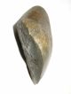 Antique Aboriginal Artefact Stone Axe 14cm Turondale Nsw Pacific Islands & Oceania photo 3