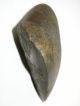 Antique Aboriginal Artefact Stone Axe 14cm Turondale Nsw Pacific Islands & Oceania photo 4