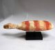 A Pigment Striped Adan Tortoise Nature Spirit From Ghana Other African Antiques photo 3