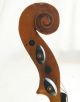 Antique French? Labelled Violin String photo 3