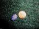 Old Egyptian Scarab,  Bead,  Beads,  Blue Lapis With Gold Pyrite Flakes Egyptian photo 2