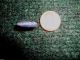 Old Egyptian Scarab,  Bead,  Beads,  Blue Lapis With Gold Pyrite Flakes Egyptian photo 3