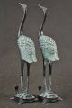 Old Collectible Copper Carving Red Crowned Crane Step On The Turtle Pair Statue Horses photo 2