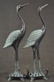 Old Collectible Copper Carving Red Crowned Crane Step On The Turtle Pair Statue Horses photo 3