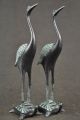 Old Collectible Copper Carving Red Crowned Crane Step On The Turtle Pair Statue Horses photo 4