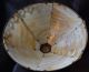 Antique Miller Slag Glass Lamp Art Nouveau photo 6