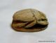 Ancient Egyptian Scarab With Cartouche Of Thutmose Iii,  18th Dynasty 1570 - 1293bc Egyptian photo 5