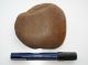 Antique Aboriginal Artefact Stone Axe Turondale Nsw Pacific Islands & Oceania photo 1