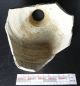 Large 16th Cent Pottery Stoneware Frechen Sherd Of Bellarmine Jug Coat Of Arms Other Antiquities photo 3