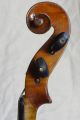 Interesting Brescian Style Violin Labelled Antonius Stradivarius String photo 5