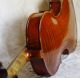 Antique Violin Labelled Jacobus Stainer 17. String photo 2