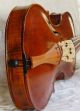 Antique Violin Labelled Jacobus Stainer 17. String photo 3
