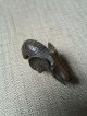 Rare Antique African Tribal Cast Bronze Ashanti Akan Gold Weight - Elephant Other African Antiques photo 6