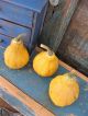 Three Primitive Dried Pear Gourds Dyed Yellow Primitives photo 1