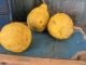 Three Primitive Dried Pear Gourds Dyed Yellow Primitives photo 2