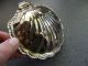 Rare Vintage Silver Plated Oyster Shell Condiment Bowl With Attached Shell Lid Bowls photo 3