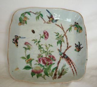 Antique 19c Qing Dynasty Chinese Celadon Famille Rose Square Plate Insects photo