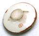Antique Meiji Satsuma Button Speckled Bird W/ Flowers & Bamboo W/ Gold Accents Buttons photo 1