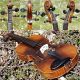Fine Vintage Czech Violin By Emanuel Huller,  Graslitz.  Solid Build & Sound. String photo 3